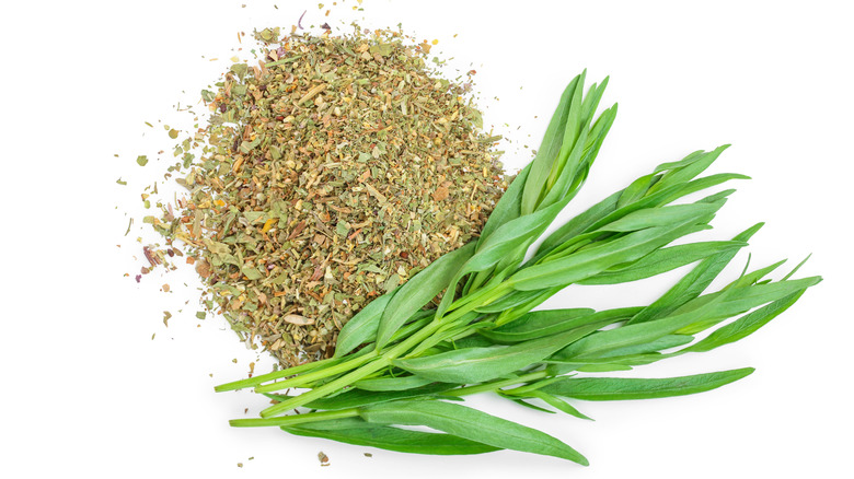 Dried and fresh tarragon