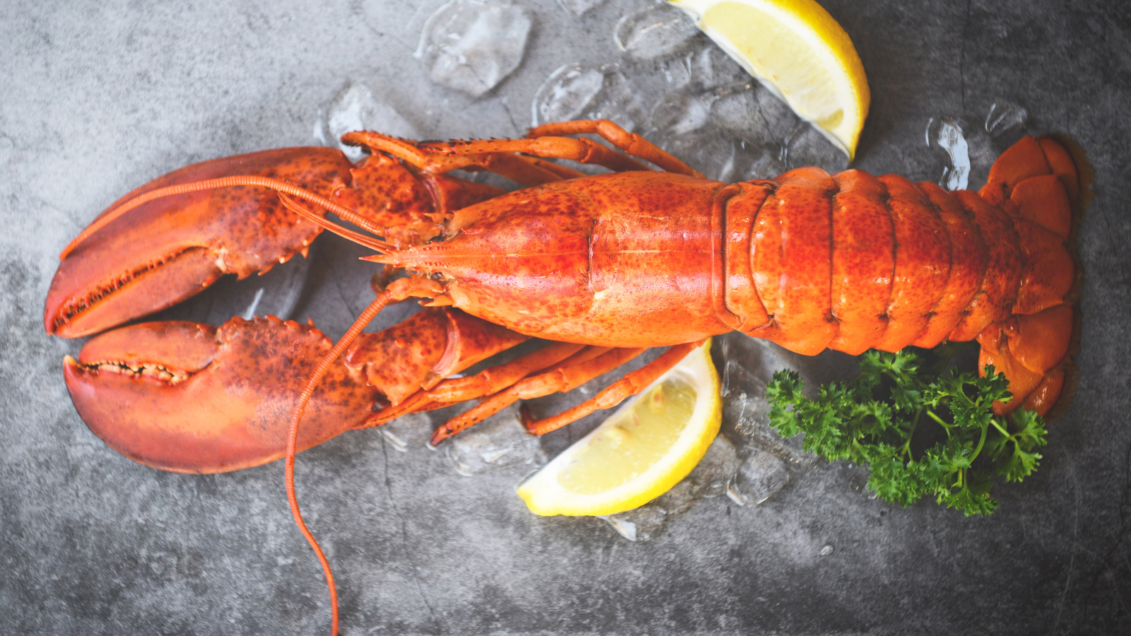 Here's What You Need To Know About Canada's Lobster Wars