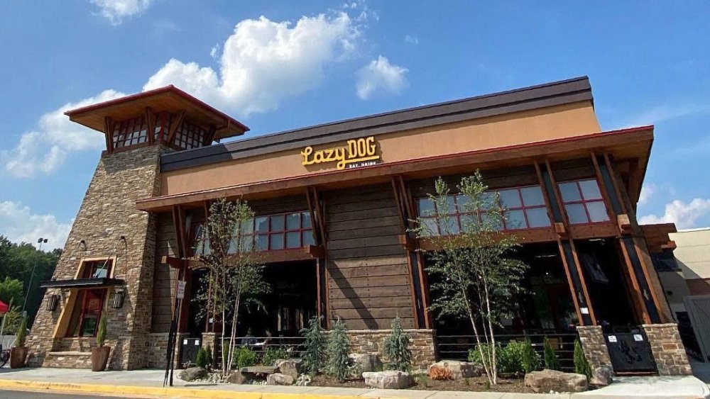 Here's What You Need To Know About Lazy Dog Restaurant & Bar