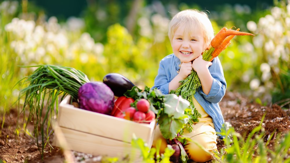 Young boy smiling, holding carrots next to box of vegetables