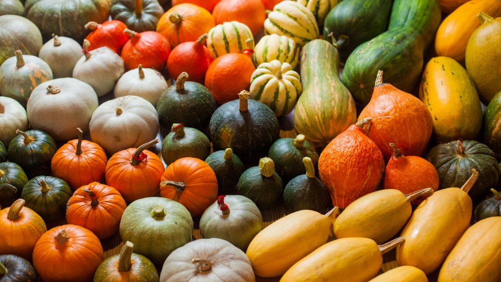 varieties of squash