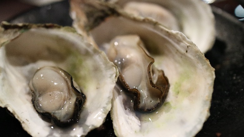 raw oysters in shell