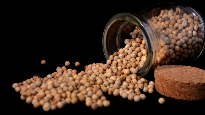 white peppercorns in glass jar