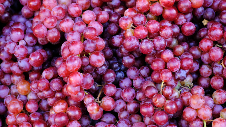 Clusters of ripe grapes