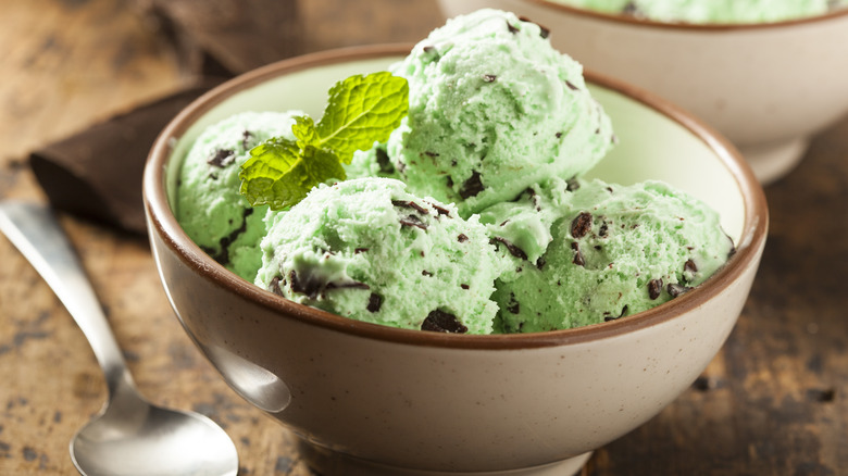 A bowl of mint chocolate chip ice cream