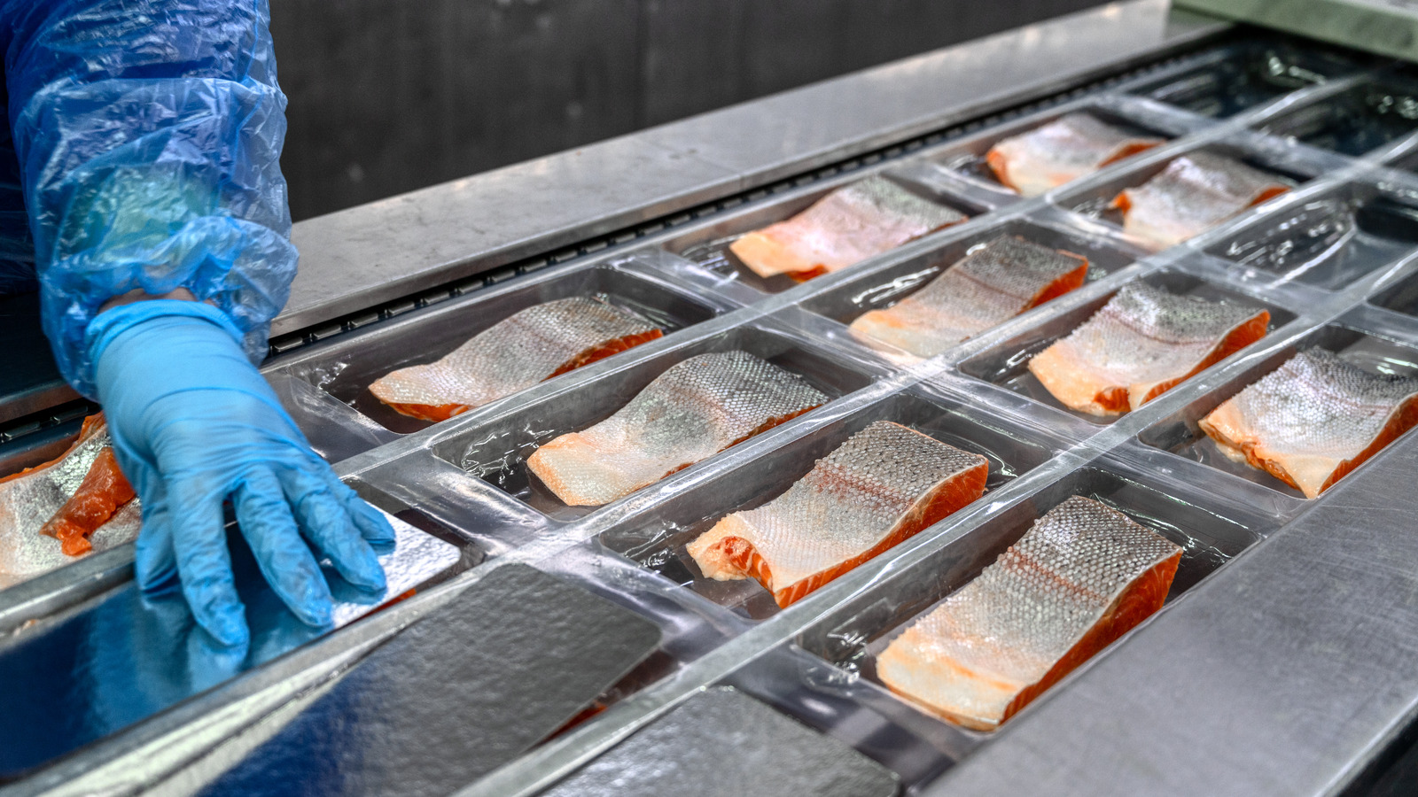 Here's Why 150 Tons Of Salmonella-Tainted Fish Is Being Recalled