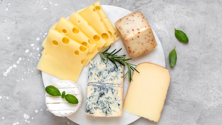 Cheese plate on marble background