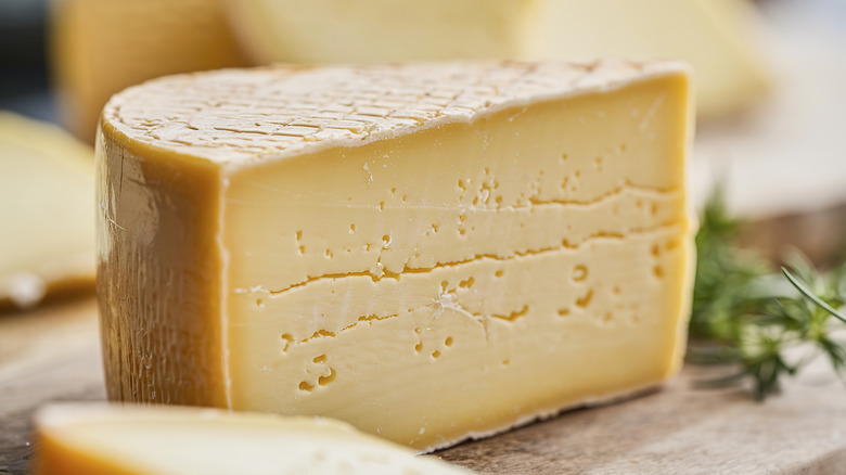 closeup of wedge of cheese