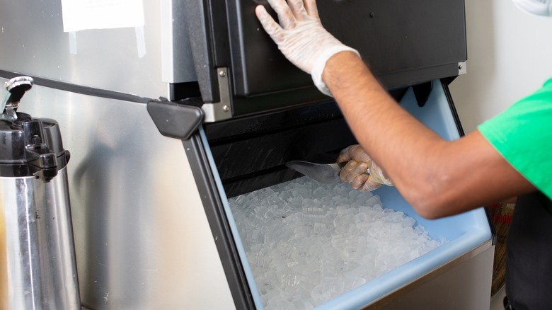 Employee scooping ice