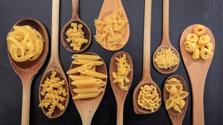 different styles of pasta