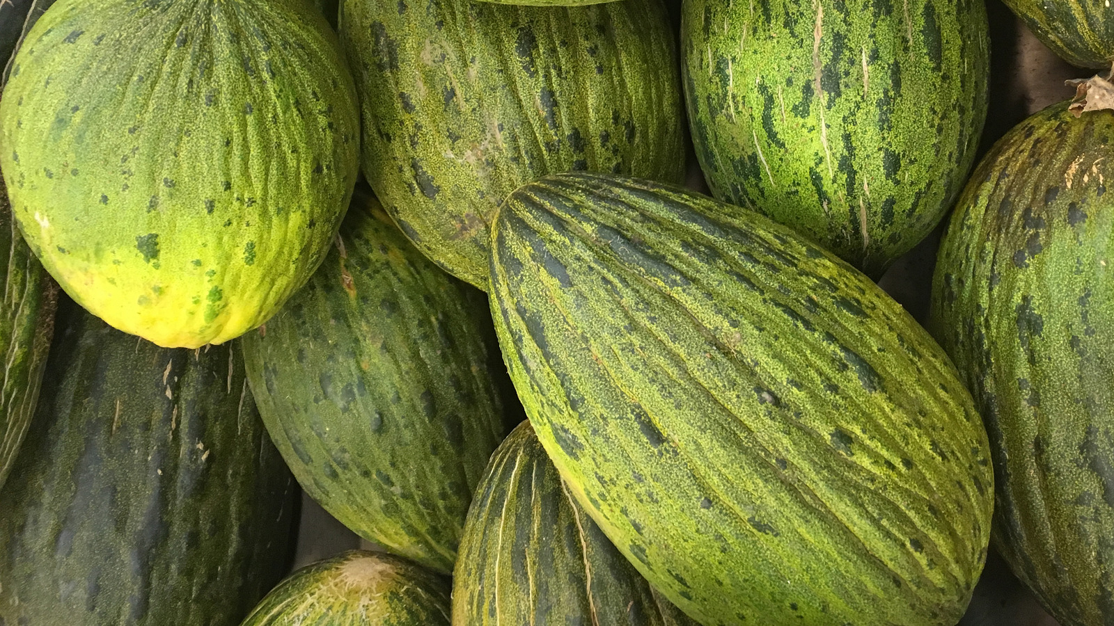 Here s Why Santa Claus Melon Has Such A Festive Name