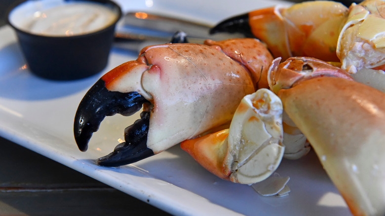 Stone crab claws