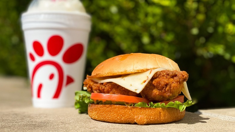 Chick-fil-a chicken sandwich with lettuce, tomato, and pepper jack cheese and a milkshake in background