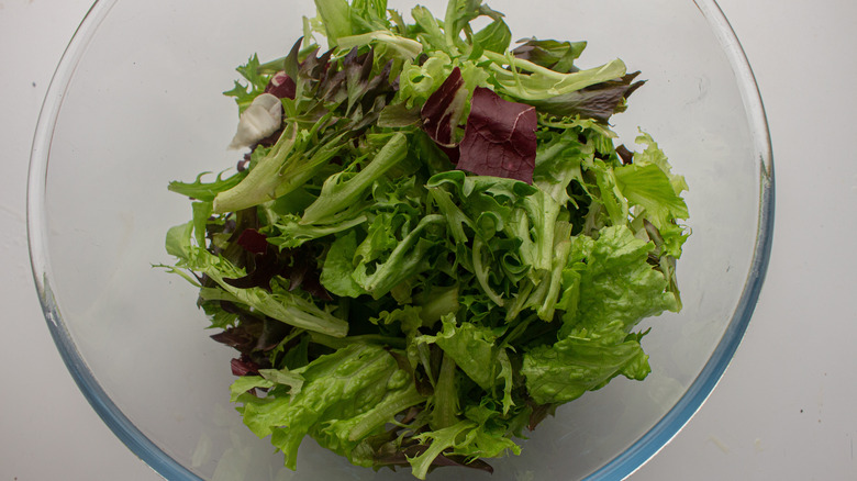 salad in bowl 