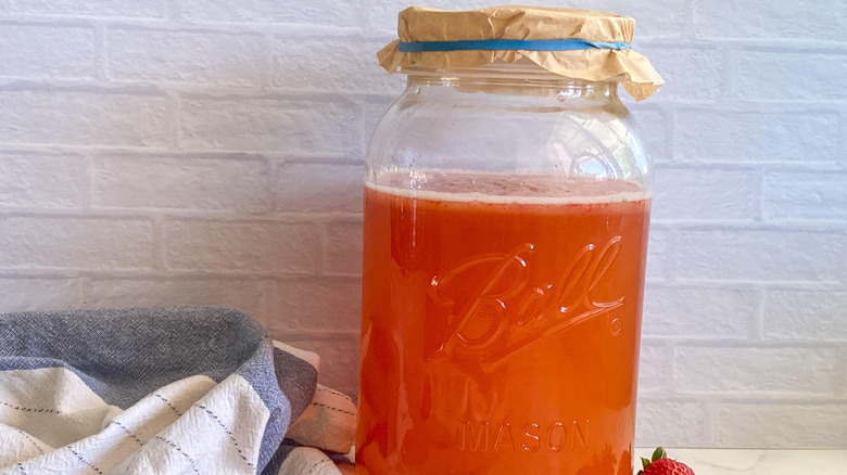 strawberries in kombucha 