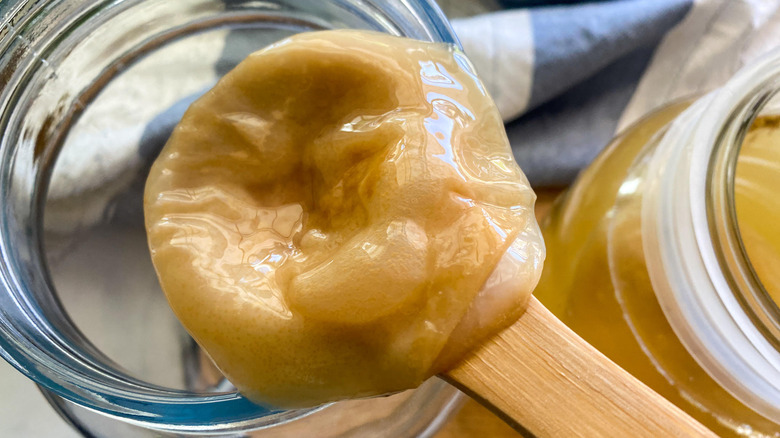 kombucha scoby on a spoon