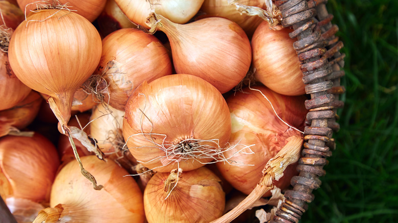 A basket of onions