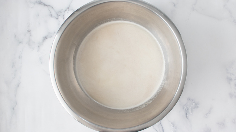 strained oat milk in bowl