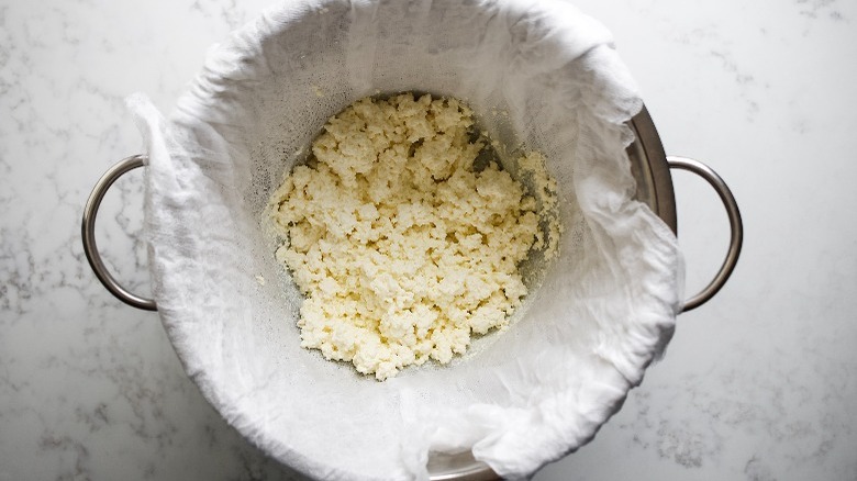 curds in a cheesecloth