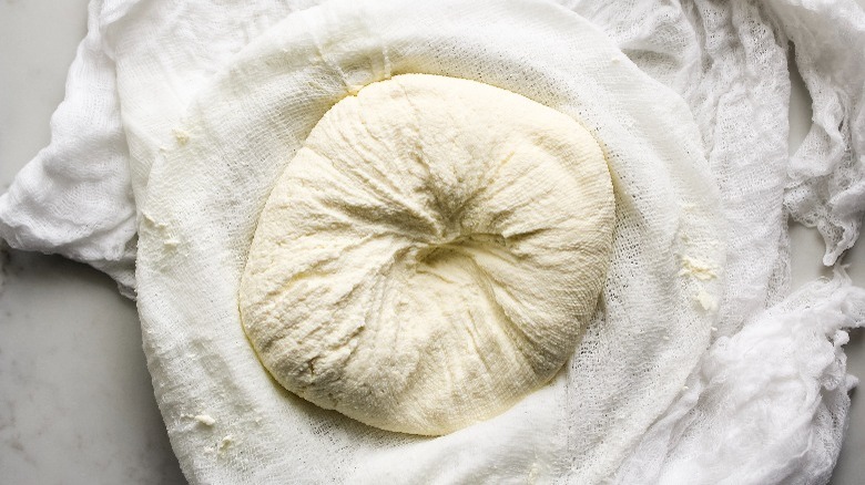 freshly formed homemade queso fresco