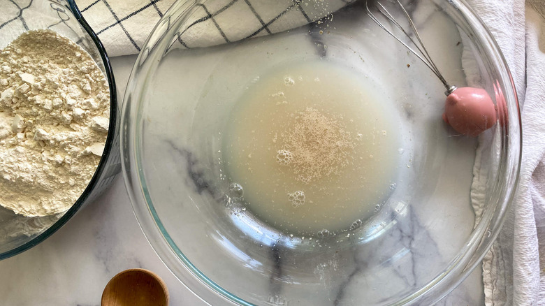 yeast water sugar in bowl