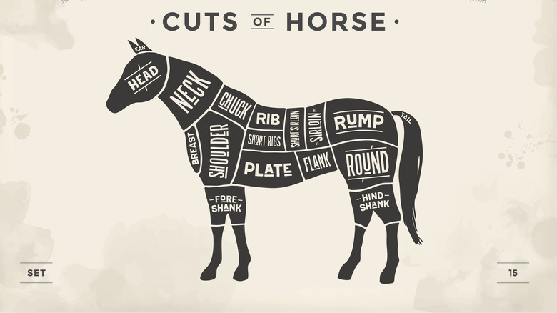 Butcher's horse meat guide