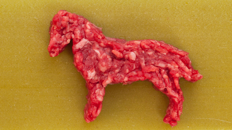 Horse shape made from meat