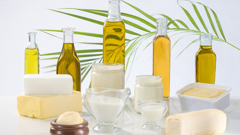 collection of different types of fats