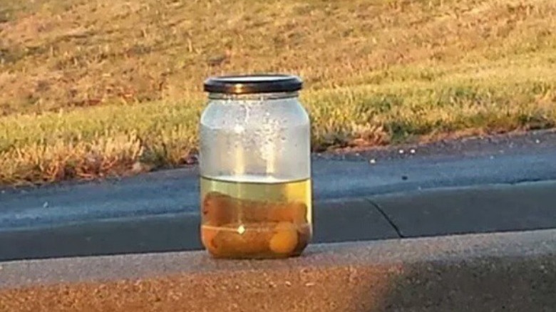 Roadside jar of pickles