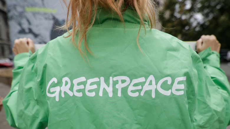 Person wearing Greenpeace jacket