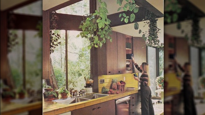 Vintage 1970s kitchen with plants 