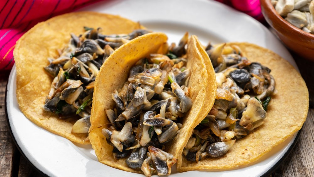 huitlacoche authentic taco