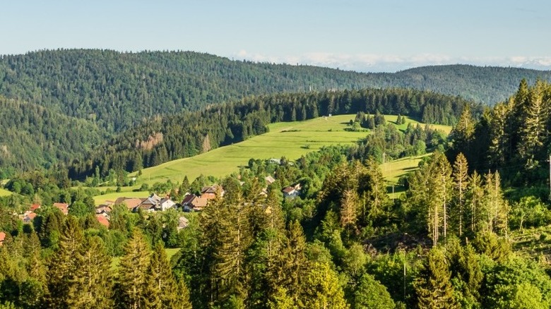 Germany's black forest