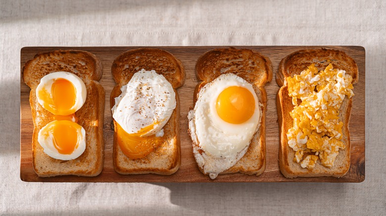 Boiled, poached, fried and scrambled eggs on toast slices