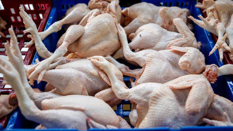 crate of chickens without feathers