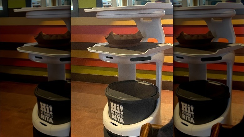 Rita the Chili's robot