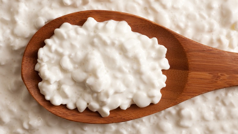 cottage cheese on a spoon