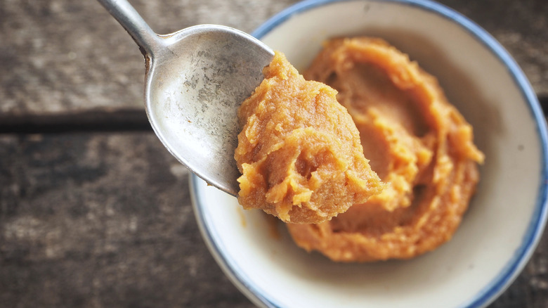 Miso paste on spoon