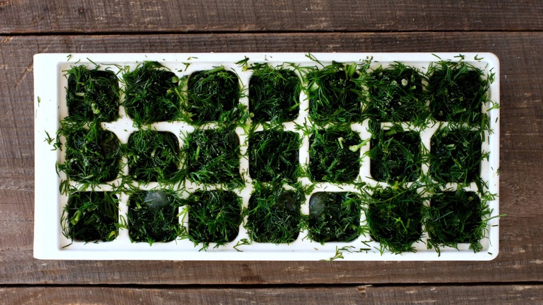 Chopped dill in an ice tray