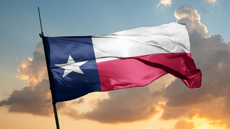 Texas flag blowing in wind