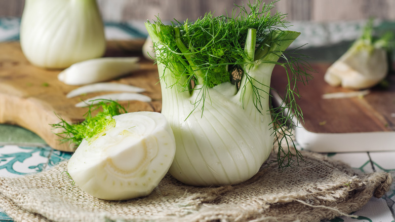 Sliced fennel plant