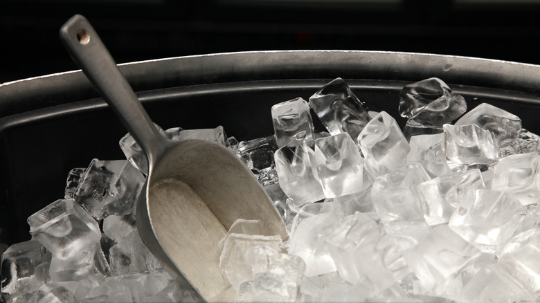 Ice Bucket with scoop