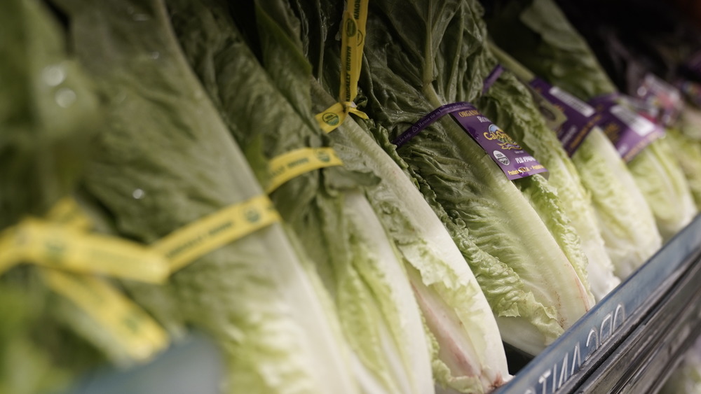 Romaine lettuce on grocery store shelf