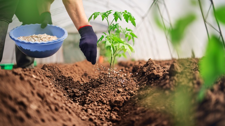  Agriculture Worker with Fertilizer