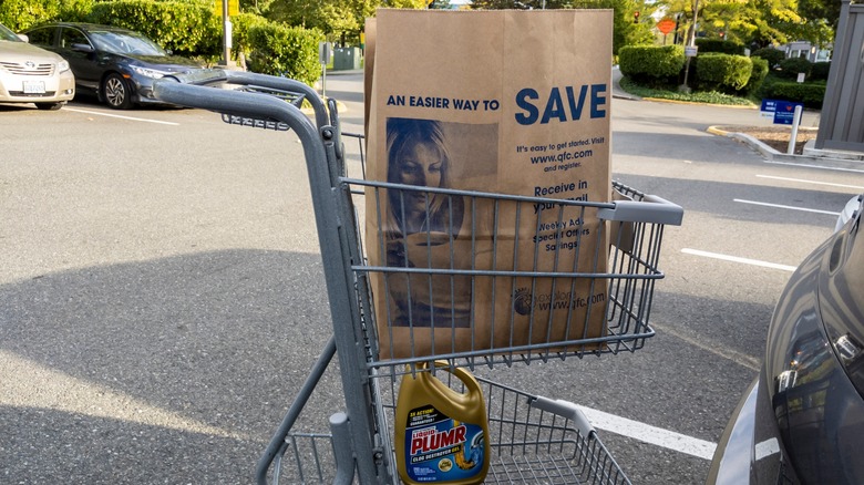 brown grocery bag in shopping cart