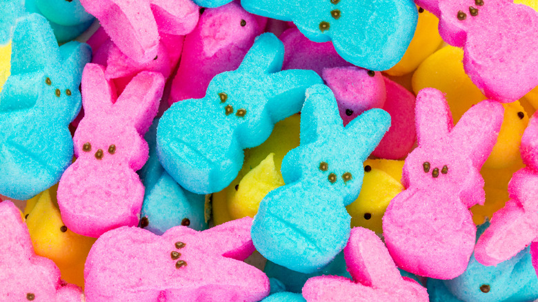 Marshmallow bunny Peeps