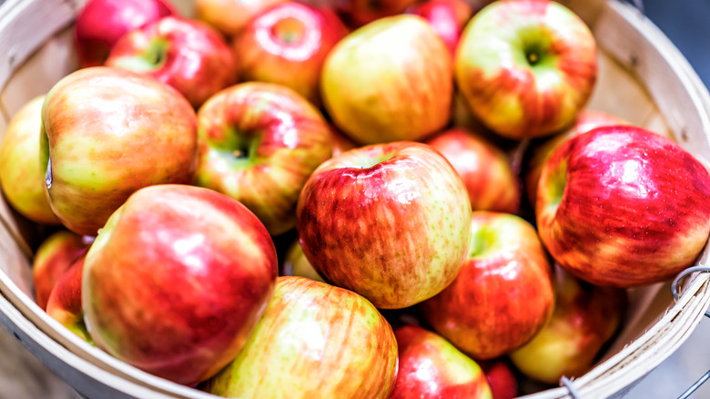 a bucket of apples