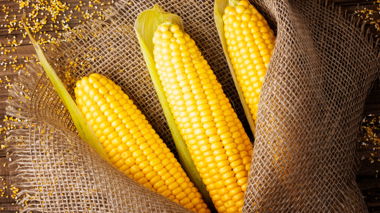 corn on the cob on table