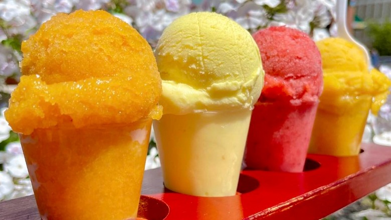 selection of alcoholic sorbets