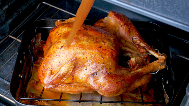 Person basting a roasted turkey